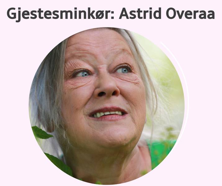 Gjestesminkører